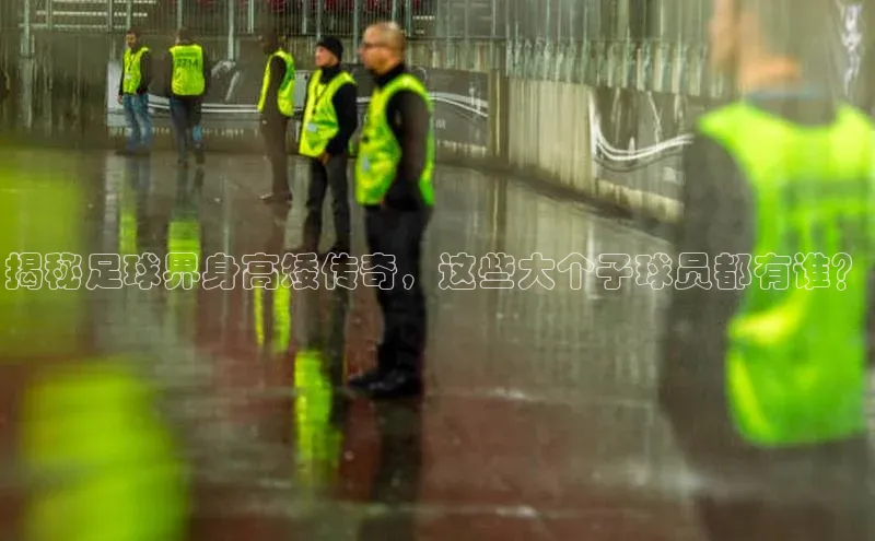 欧亿体育平台轻美电器揭秘足球界身高矮传奇，这些大个子球员都有谁？