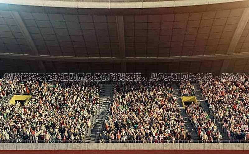 欧亿体育综合app平台百度教育揭秘葡萄牙足球运动员头发的时尚秘籍，从C罗到贝尔纳多·席尔瓦