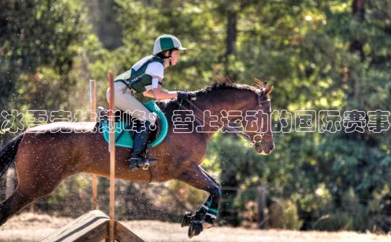 欧亿体育全站app下载安装百度游戏冰雪竞技巅峰：雪上运动的国际赛事