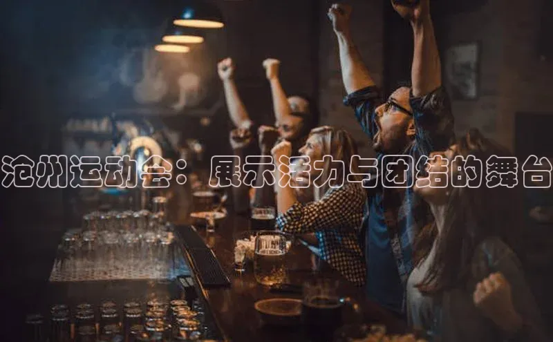 沧州运动会：展示活力与团结的舞台