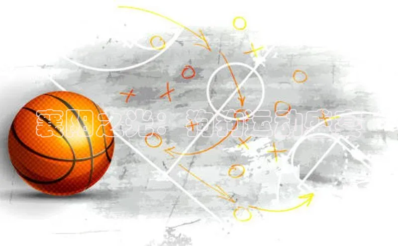 襄阳之光：狗狗运动盛宴