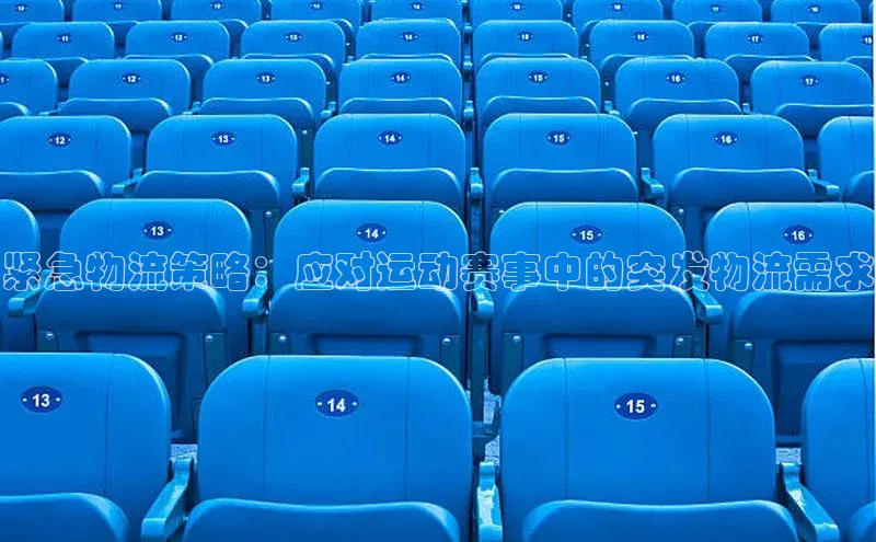 紧急物流策略：应对运动赛事中的突发物流需求