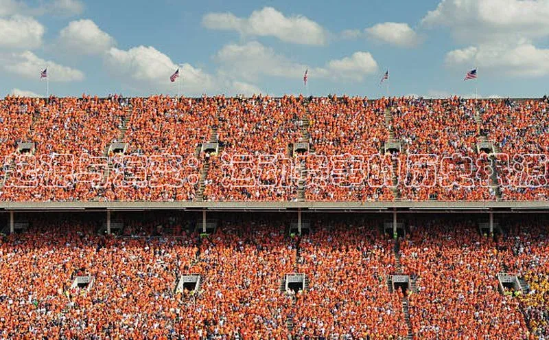 起源与演变：运动赛事的历史根源