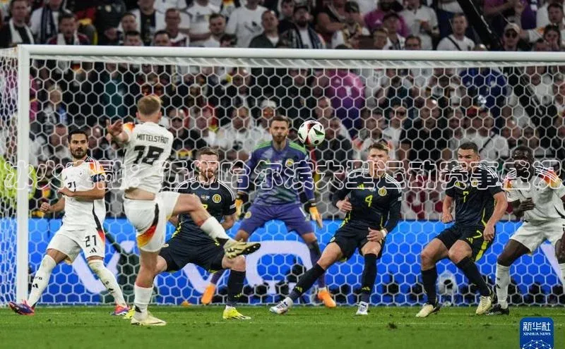 冰火交融：近期哈尔滨大型运动赛事盛况