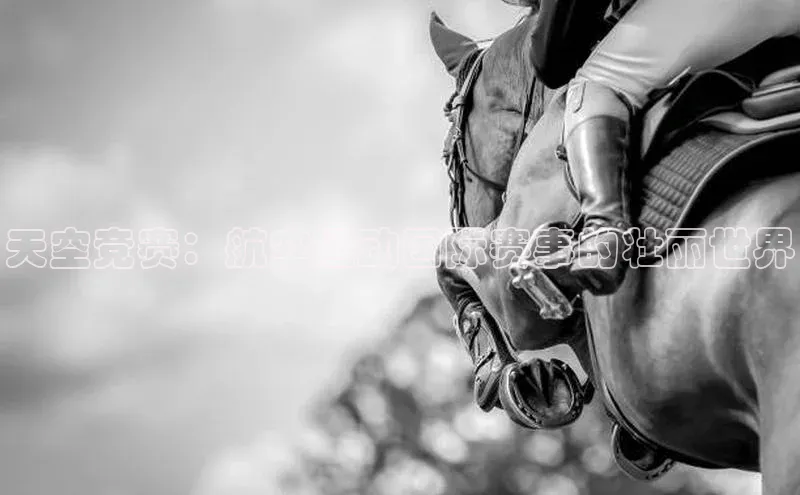 天空竞赛：航空运动国际赛事的壮丽世界