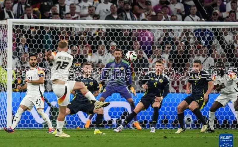 浙江运动赛事精彩回顾：运动的力量与激情