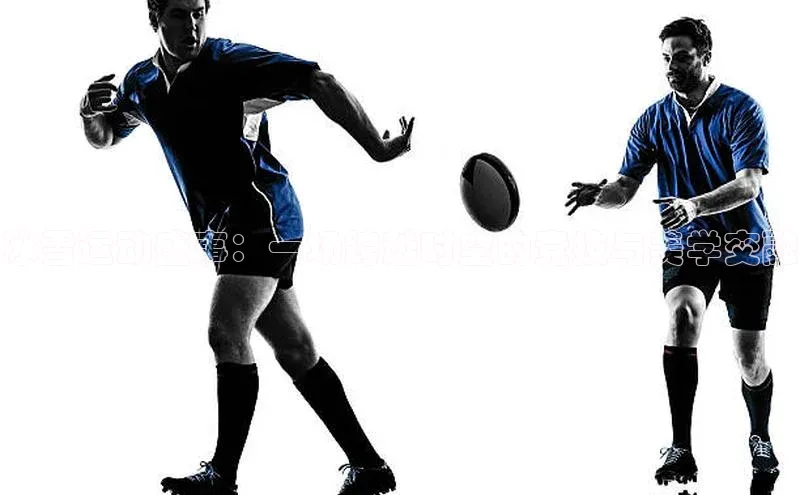 冰雪运动盛事：一场跨越时空的竞技与美学交融