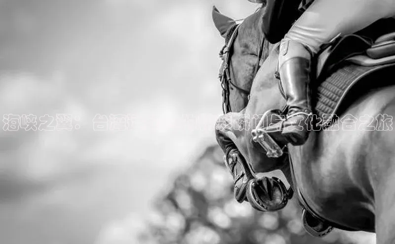 海峡之翼：台湾运动会的精彩瞬间与文化融合之旅