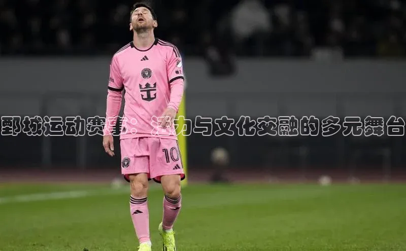 鄄城运动赛事：活力与文化交融的多元舞台