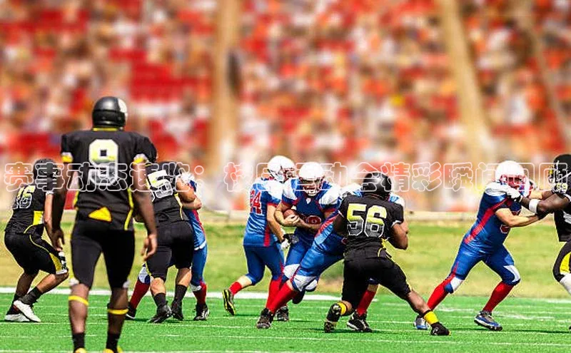 赛事动态速览：校园运动会精彩瞬间回顾