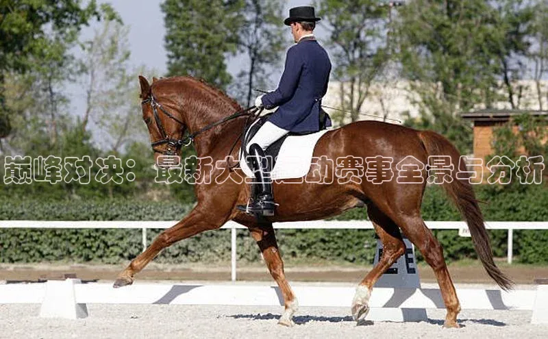 巅峰对决：最新大型运动赛事全景与分析