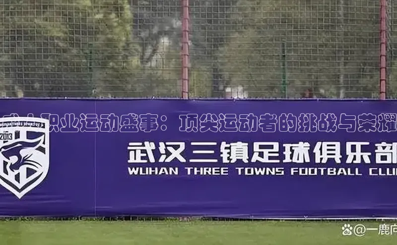 成人职业运动盛事：顶尖运动者的挑战与荣耀