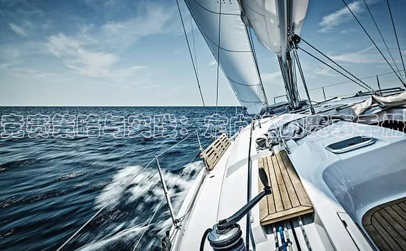 竞赛策略与实践：定向运动赛事手册