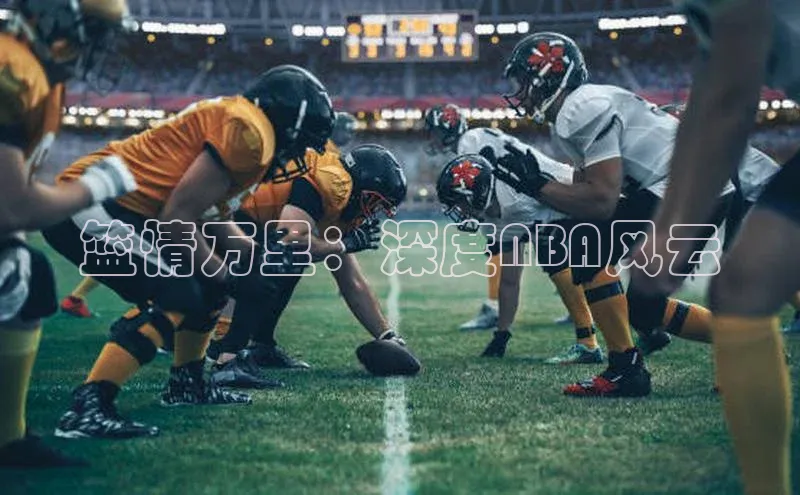 篮情万里：深度NBA风云