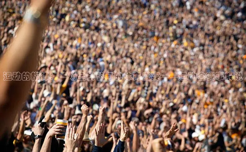 运动的旋律：一场全民参与的体育盛宴——运动会赛事解说